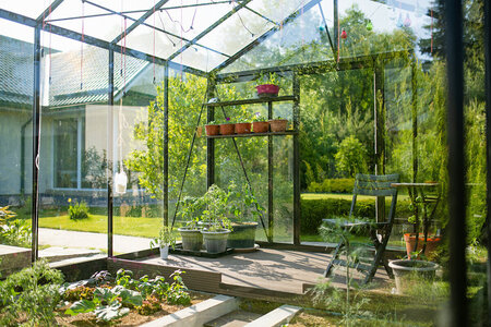 Hur du förbereder ditt nya Bloom Cabin-aluminiumväxthus för våren och vad du ska plantera först