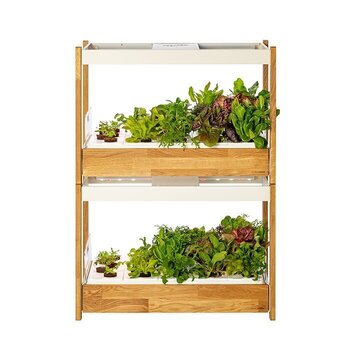 Smart Garden