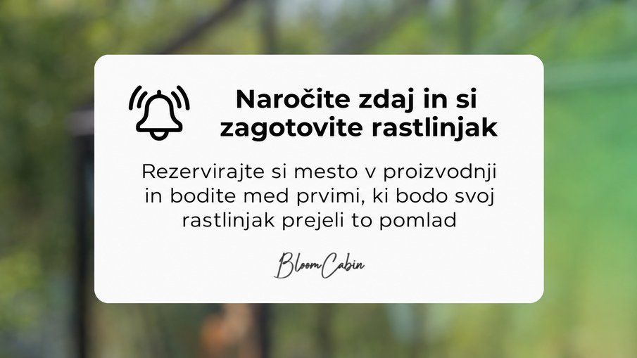 Večji ko je nakup, večji popust dobite.