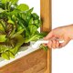 Smart Garden