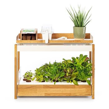 Smart Garden