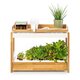 Smart Garden