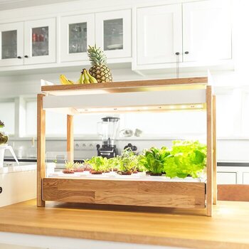 Smart Garden