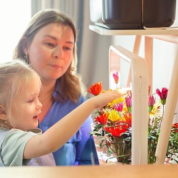 Smart Garden