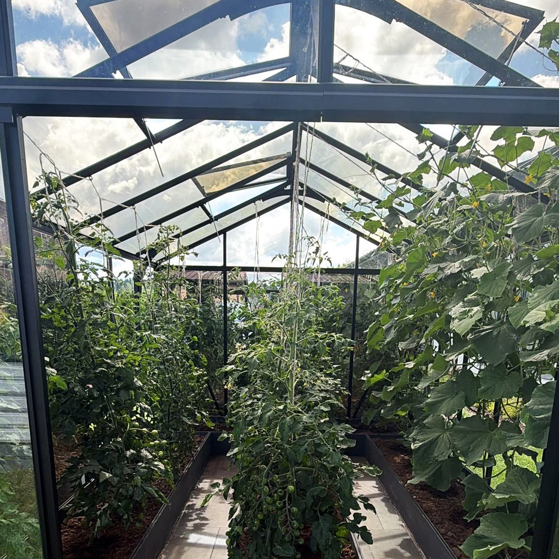 Bloomcabin greenhouse exterior viewed from the garden