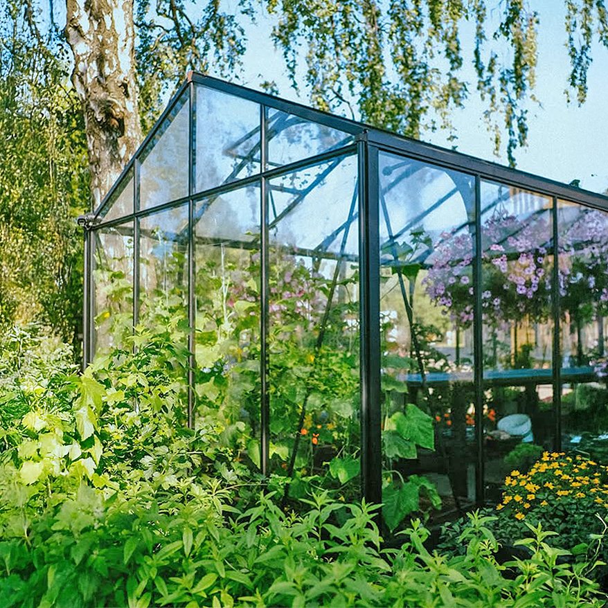 Large completed greenhouse structure in an outdoor setting