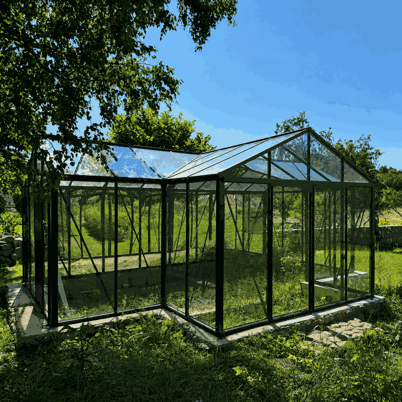 T-shaped greenhouse viewed from the garden