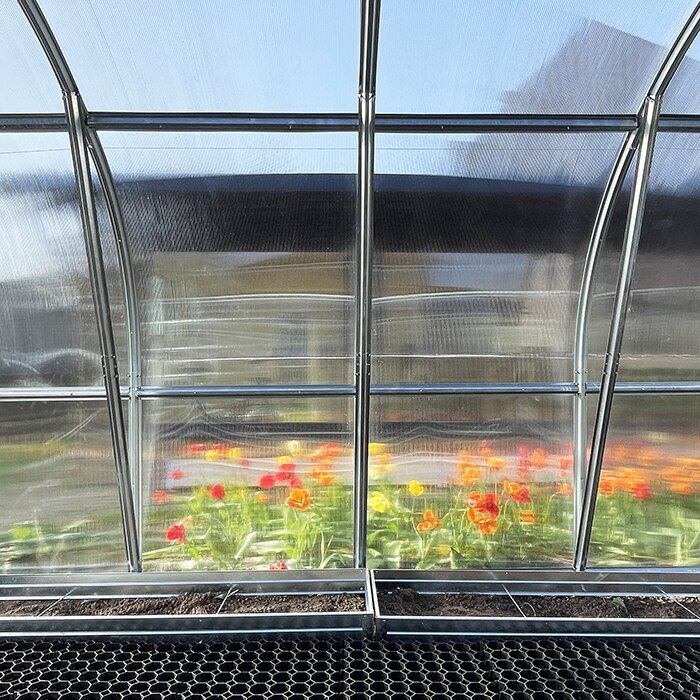 Bloomcabin polycarbonate high tunnel greenhouse for gardens in the USA
