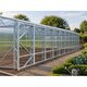 Greenhouses & Greenhouse Supplies