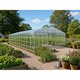 Greenhouses & Greenhouse Supplies