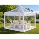 Pop-Up Canopies, Frames & Accessories