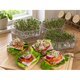Seed Sprouting, Grow Lights & Hydroponic Planters