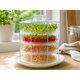 Seed Sprouting, Grow Lights & Hydroponic Planters