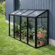 Mini wall greenhouse
