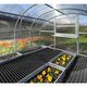 High Tunnel Greenhouse