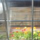High Tunnel Greenhouse
