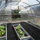 High Tunnel Greenhouse
