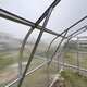 High Tunnel Greenhouse