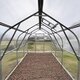 High Tunnel Greenhouse