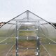 High Tunnel Greenhouse