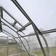 High Tunnel Greenhouse