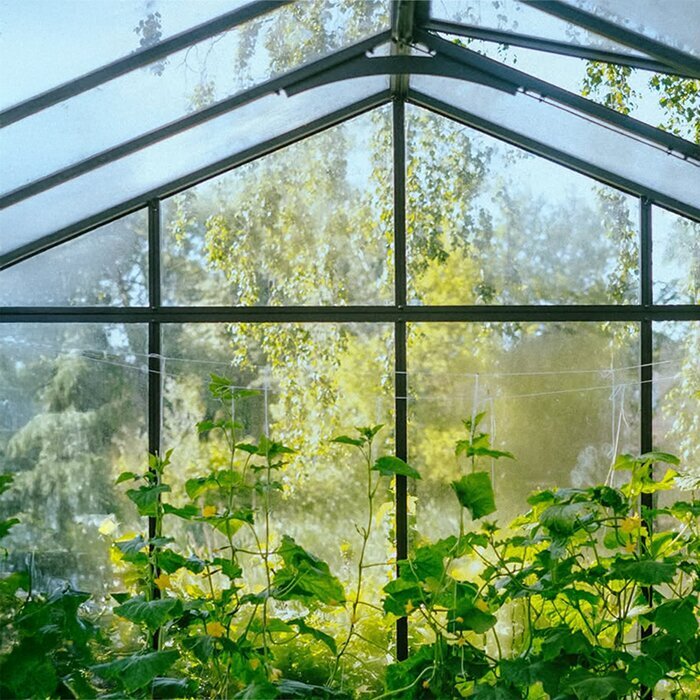 Large backyard greenhouse