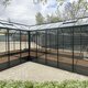 Large backyard greenhouse