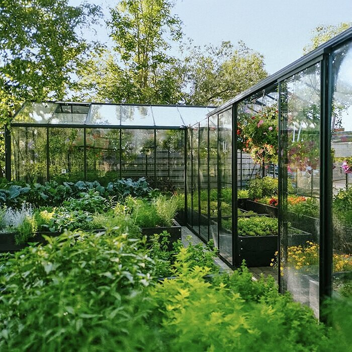 Large backyard greenhouse
