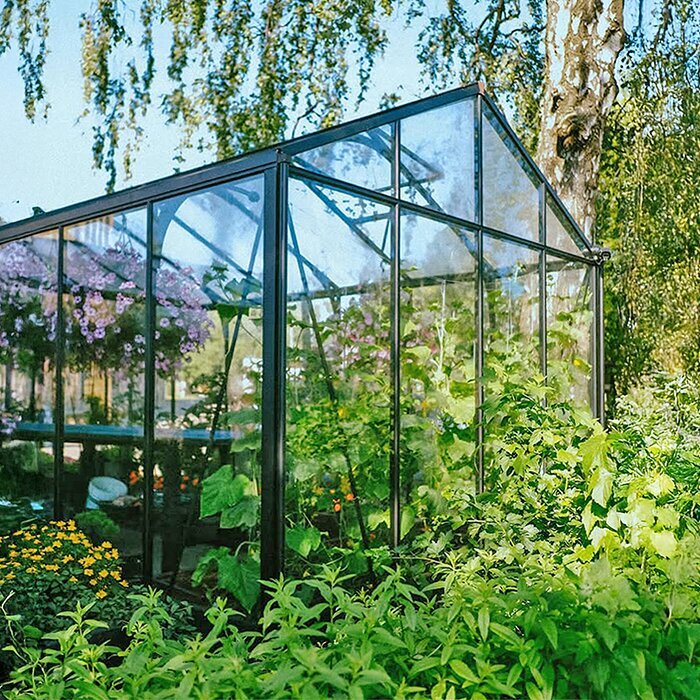 Large backyard greenhouse