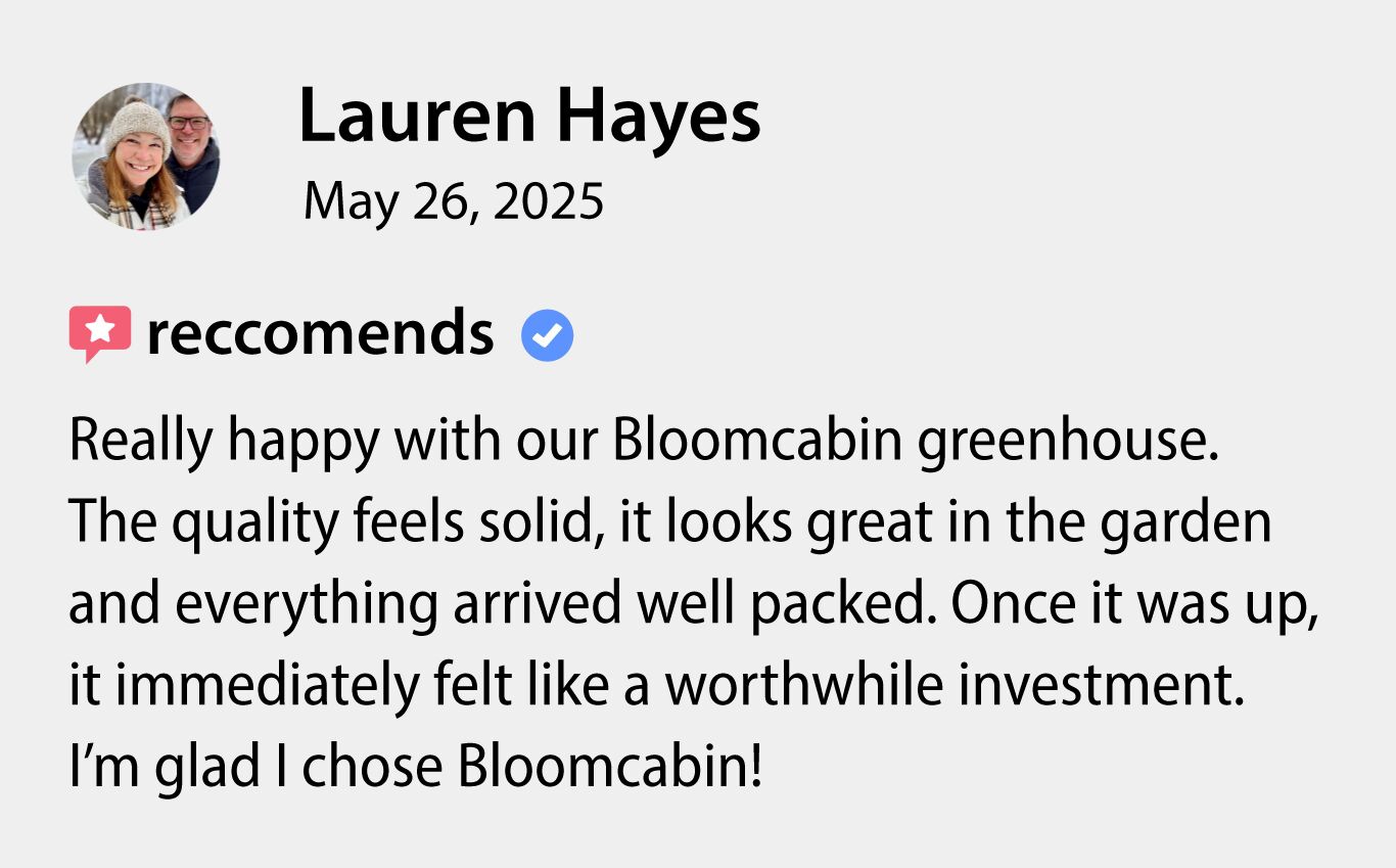 Lauren Hayes Bloomcabin review screenshot