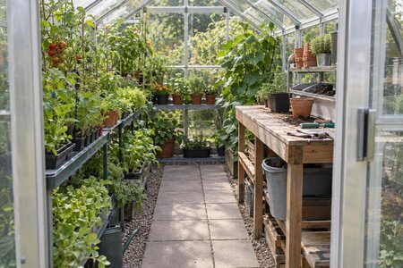 Fitting a Potting Station Around Greenhouse Plants